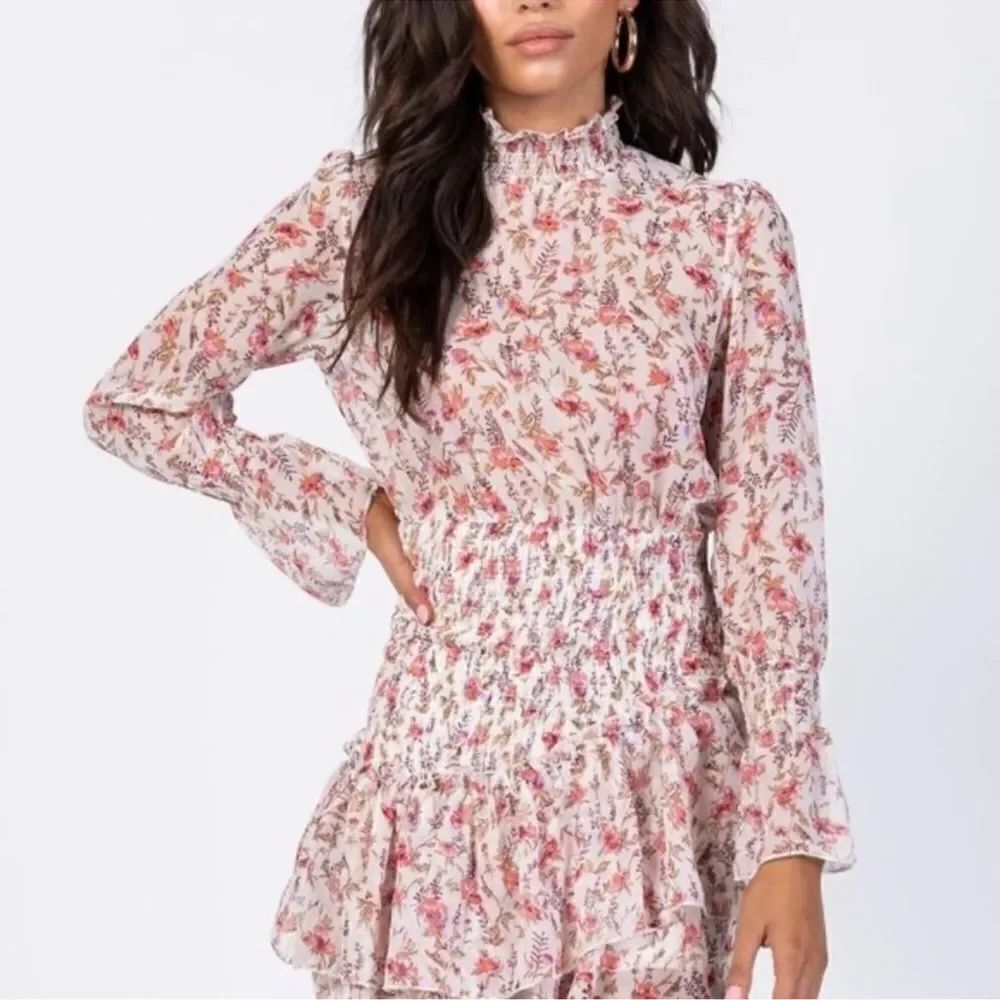 Princess Polly mini sheer dress size 6